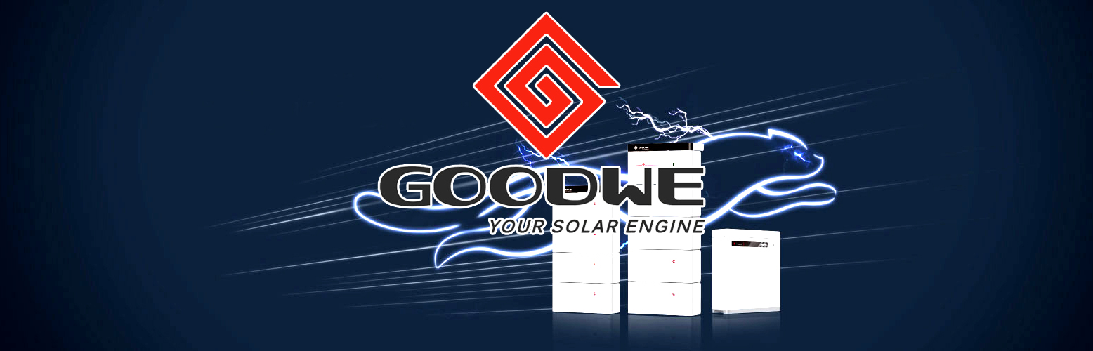 GoodWe⚡ POWER